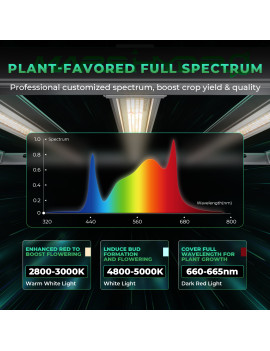 Celotni paket Mars Hydro Grow set FC-E 1500