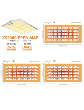 Viparspectra XS 2000/220W